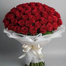 Букет 101 Красная роза Блэк Мэджик в Белые Берега