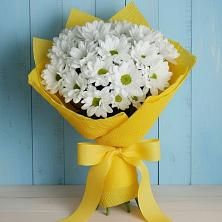 Букет цветов из:  Хризантемы в Белые Берега