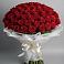 Букет 101 Красная роза Блэк Мэджик в Белые Берега