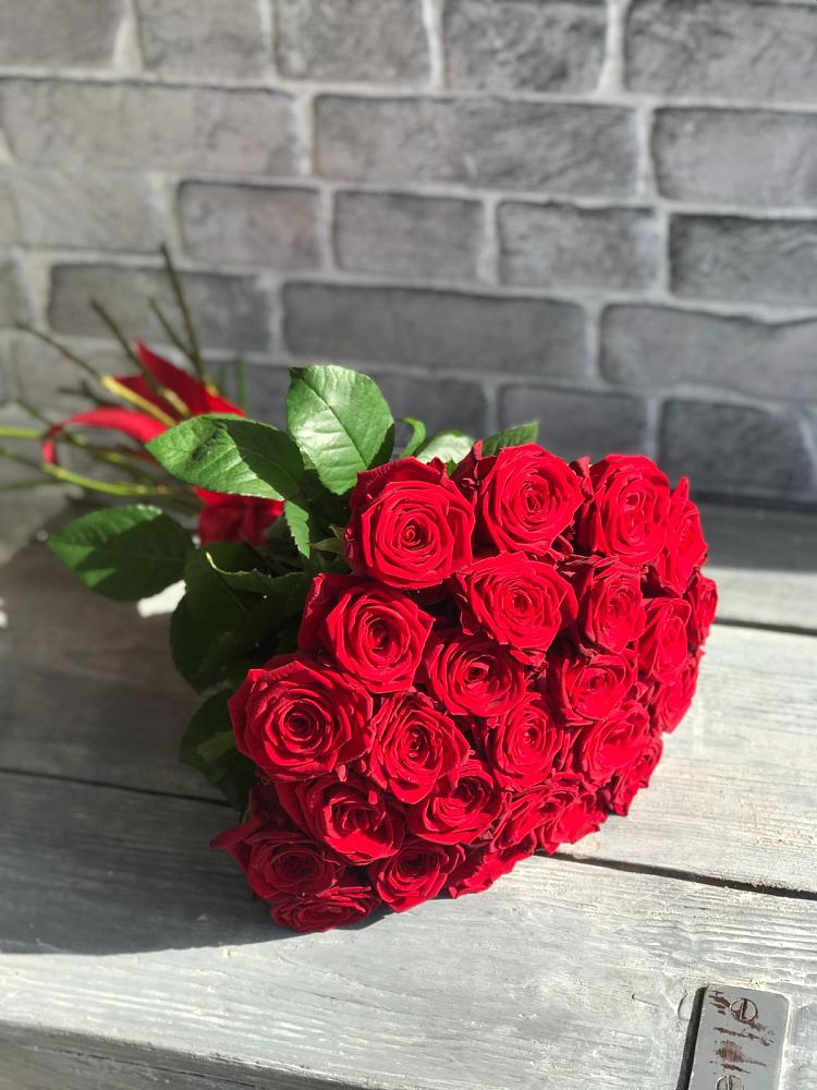 Букет Красные розы Фридом в Белые Берега