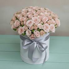 Цветочная композиция из Розы в шляпной коробке #REPLACE_PRED# Белые Берега