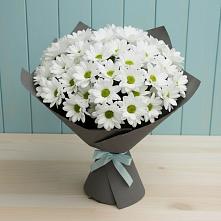 Букет цветов из:  Хризантемы в Белые Берега