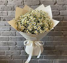 Букет цветов из:  Ромашки #REPLACE_PRED# Белые Берега