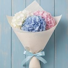 Букет цветов из:  Гортензия в Белые Берега