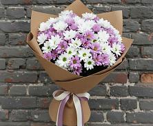 Букет цветов из:  Хризантемы в Белые Берега