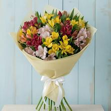 Букет цветов из:  Альстромерии в Белые Берега