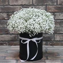Цветочная композиция из Гипсофила в шляпной коробке в Белые Берега