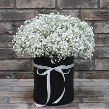 Цветочная композиция из Гипсофила в шляпной коробке в Белые Берега